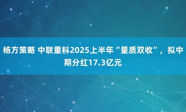 杨方策略 中联重科2025上半年“量质双收”，拟中期分红17.3亿元