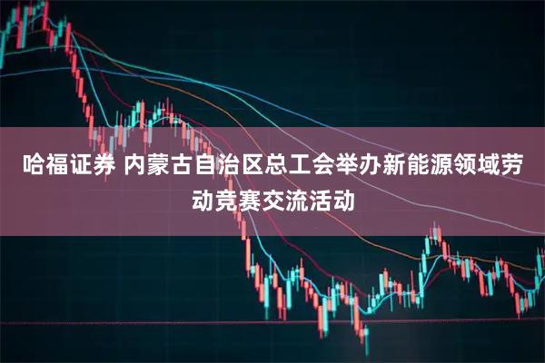 哈福证券 内蒙古自治区总工会举办新能源领域劳动竞赛交流活动
